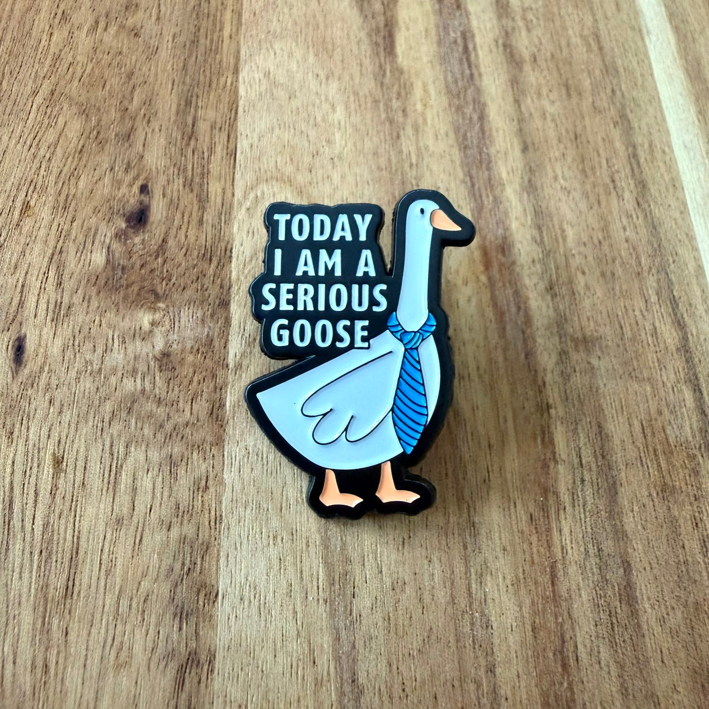 Today I Am A Serious Goose - Pin - Nyssa