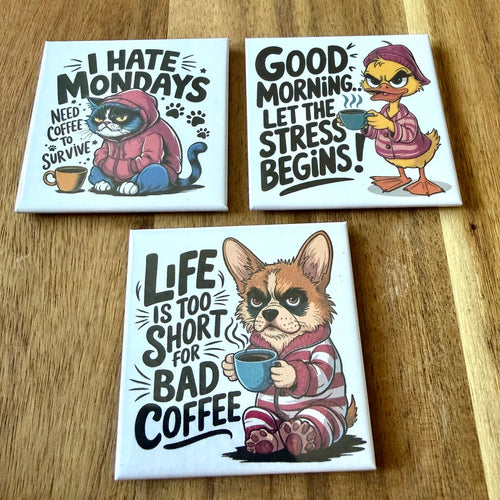 Set of three Nyssa Bad Animals refrigerator magnets featuring colorful, playful animal designs on a white background.