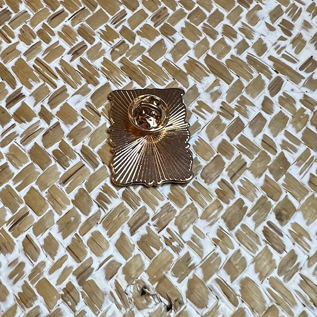 I solemnly swear - Pin