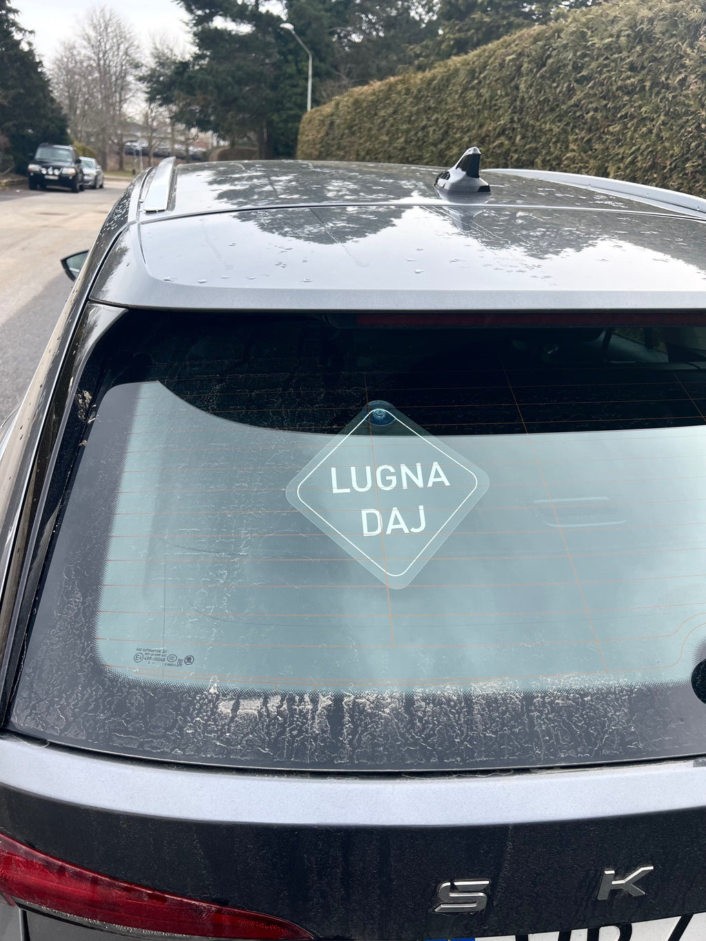 Nyssa Säg det på Skånska bilskylt with Lugna Daj text, featuring a personalized decorative car sign in bright colors.