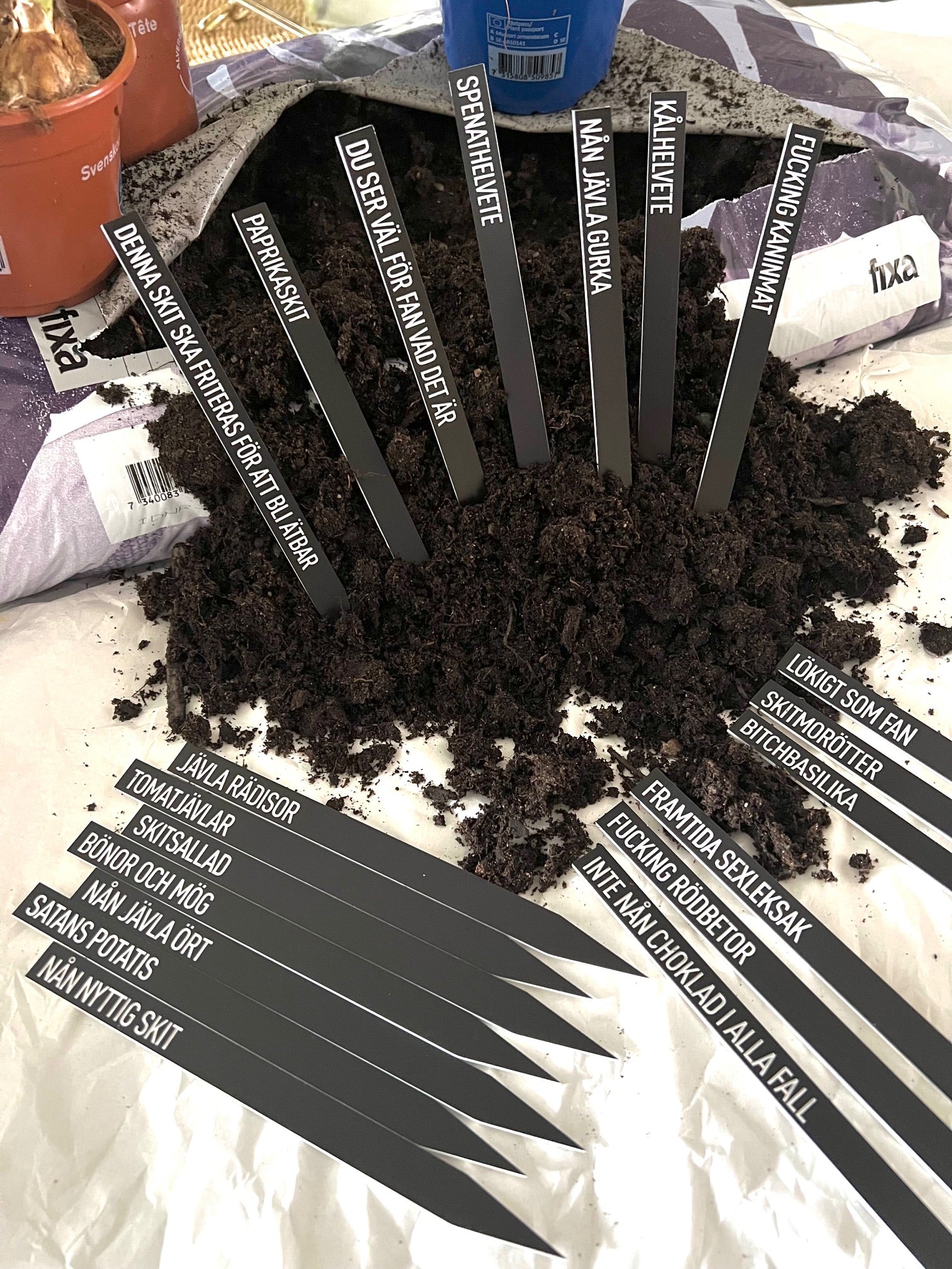 Set of 10 Nyssa blompinne plant stakes for supporting and organizing garden plants, ideal for flower beds and vegetable patches.