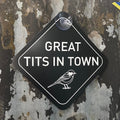 Car license plate with "Great Tits" text from Nyssa, featuring a standard rectangular design for vehicle identification.