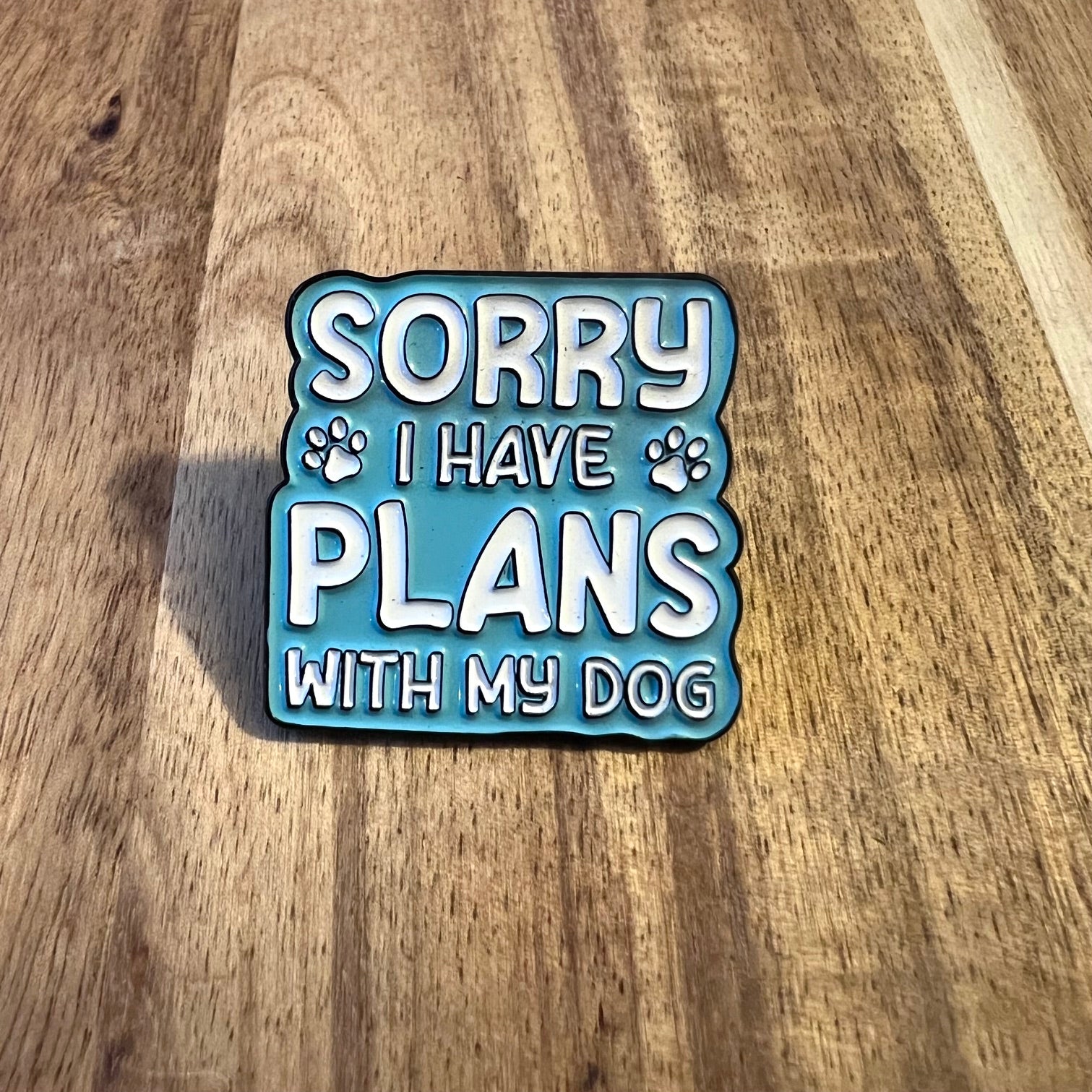 Nyssa "Sorry I Have Plans..." pin showing a circular metal badge with humorous text for clothing or accessories.